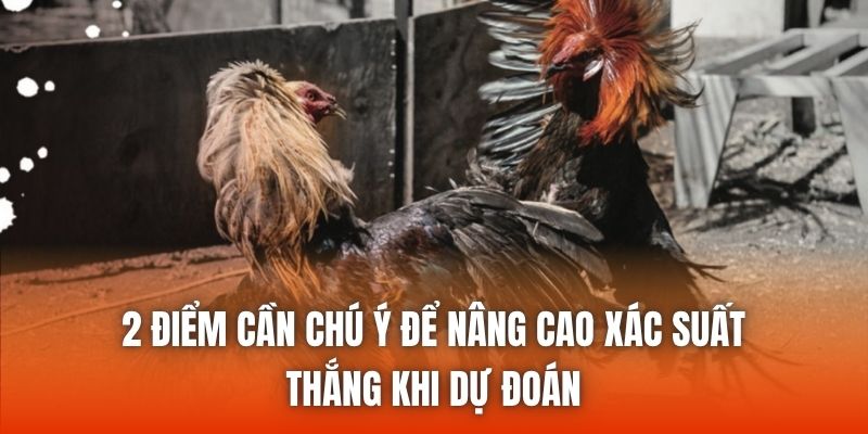 2 điểm cần chú ý để nâng cao xác suất thắng khi dự đoán