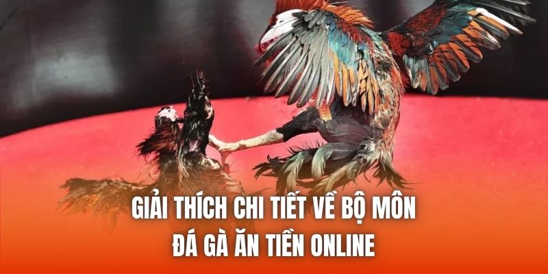Giải thích chi tiết về bộ môn đá gà ăn tiền online