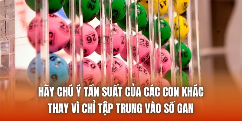 Hãy chú ý tần suất của các con khác thay vì chỉ tập trung vào số gan