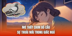 Mơ Thấy Chim Bồ Câu | Sự Thoải Mái Trong Giấc Ngủ